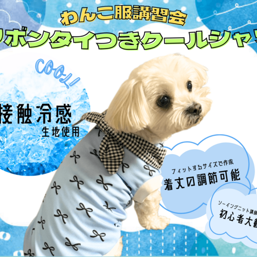 アクロスプラザ野洲店】わんこ服体験会(リボンタイ付きクールシャツ)