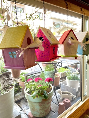 Event5/4祝★おやこでDIY体験！小鳥さんを呼ぶ巣箱を作ろう！（バーコール付き）