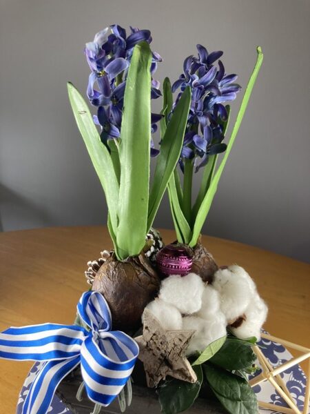 【Keitto Oppi】ヒヤシンスを使った北欧フラワーアレンジメント