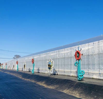 いちご狩り40分食べ放題🍓