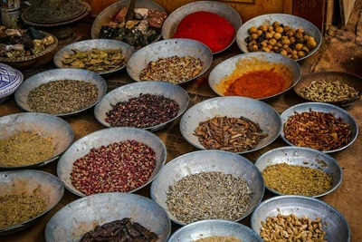 ＜鶴巻温泉＞🌿発酵ヨルダン料理会 ― お皿の上で旅する中東 × 発酵料理 