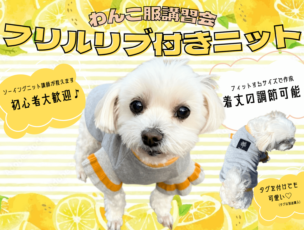 【千葉駅前店】わんこ服体験会(フリルリブ付きトレーナー)
