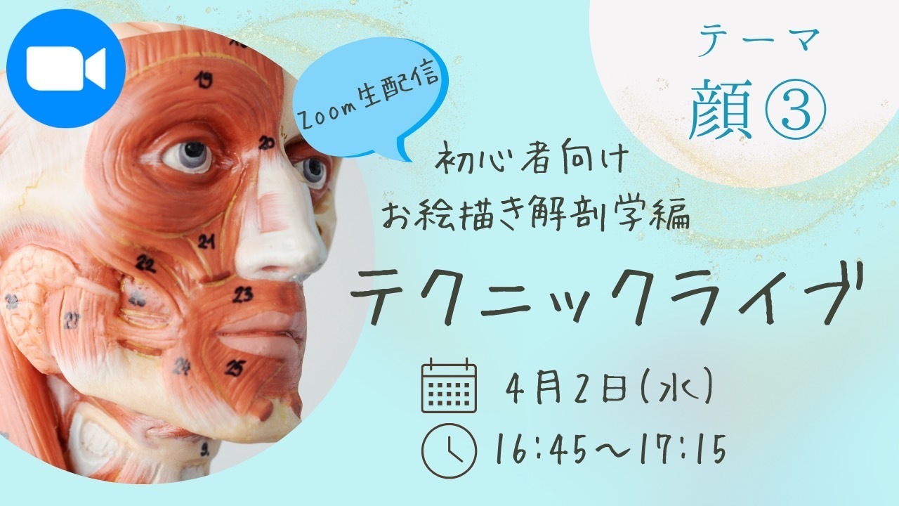 お絵描き解剖学編 テクニックライブ