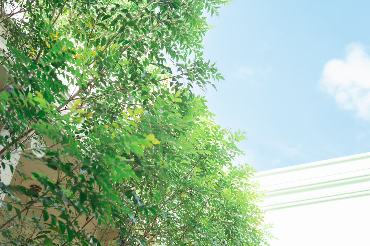 studio luonto撮影予約ページ