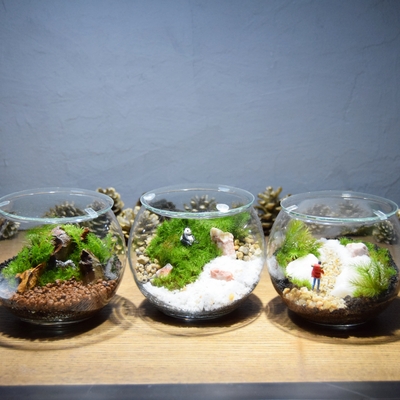 《TSUTAYA 坂戸八幡店》苔テラリウム ワークショップ