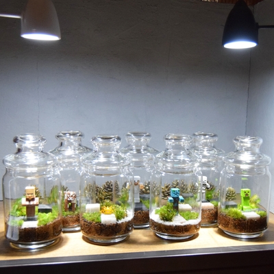 《TSUTAYA 坂戸八幡店》苔テラリウム ワークショップ