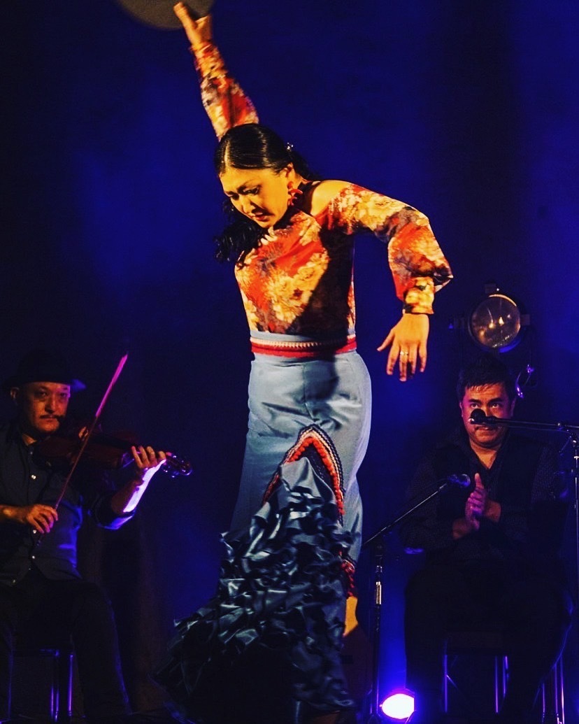 セビジャーナス振付入門（有料円）