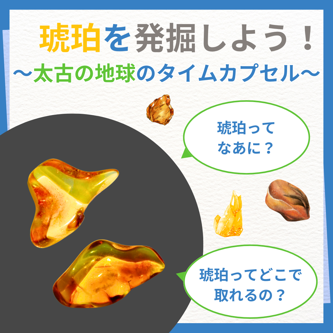 探Labブース 琥珀を発掘しよう!~太古の地球のタイムカプセル~