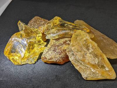 探Labブース　琥珀を発掘しよう！～太古の地球のタイムカプセル～