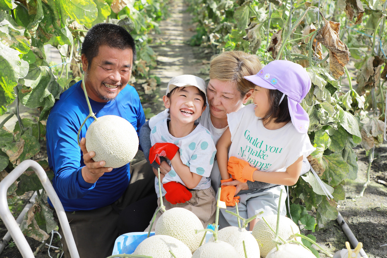 【農業体験】甘くておいしい♪　静岡三保・トマト牧場「マスクメロン」の栽培＆収穫体験 