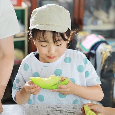 【農業体験】甘くておいしい♪　静岡三保・トマト牧場「マスクメロン」の栽培＆収穫体験 