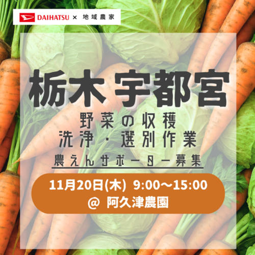 援農/栃木】2025年11月20日（木）野菜の収穫・洗浄・選別作業/阿久津農園