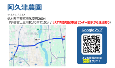 【援農/栃木】2025年11月20日（木）野菜の収穫・洗浄・選別作業/阿久津農園