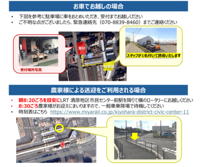 【援農/栃木】2025年11月20日（木）野菜の収穫・洗浄・選別作業/阿久津農園