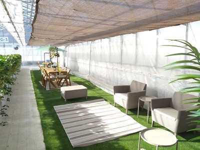 平日のご予約はこちら！！【千葉市いちご狩り】50分間の完全貸し切り！特別ないちご狩り、VIP棟のご案内