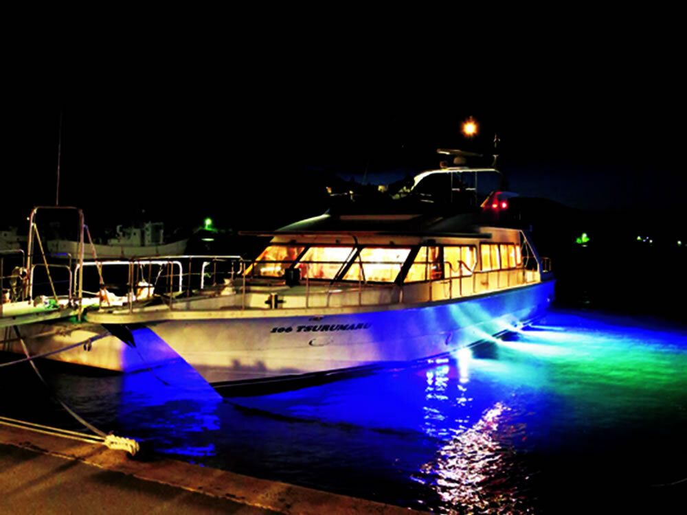 【ナイトクルージング】２０:３０～