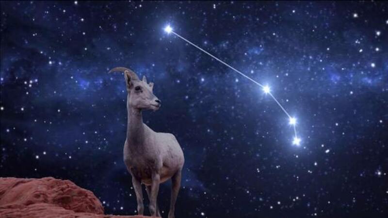 Bói tình yêu theo 12 cung hoàng đạo hé lộ điều gì?