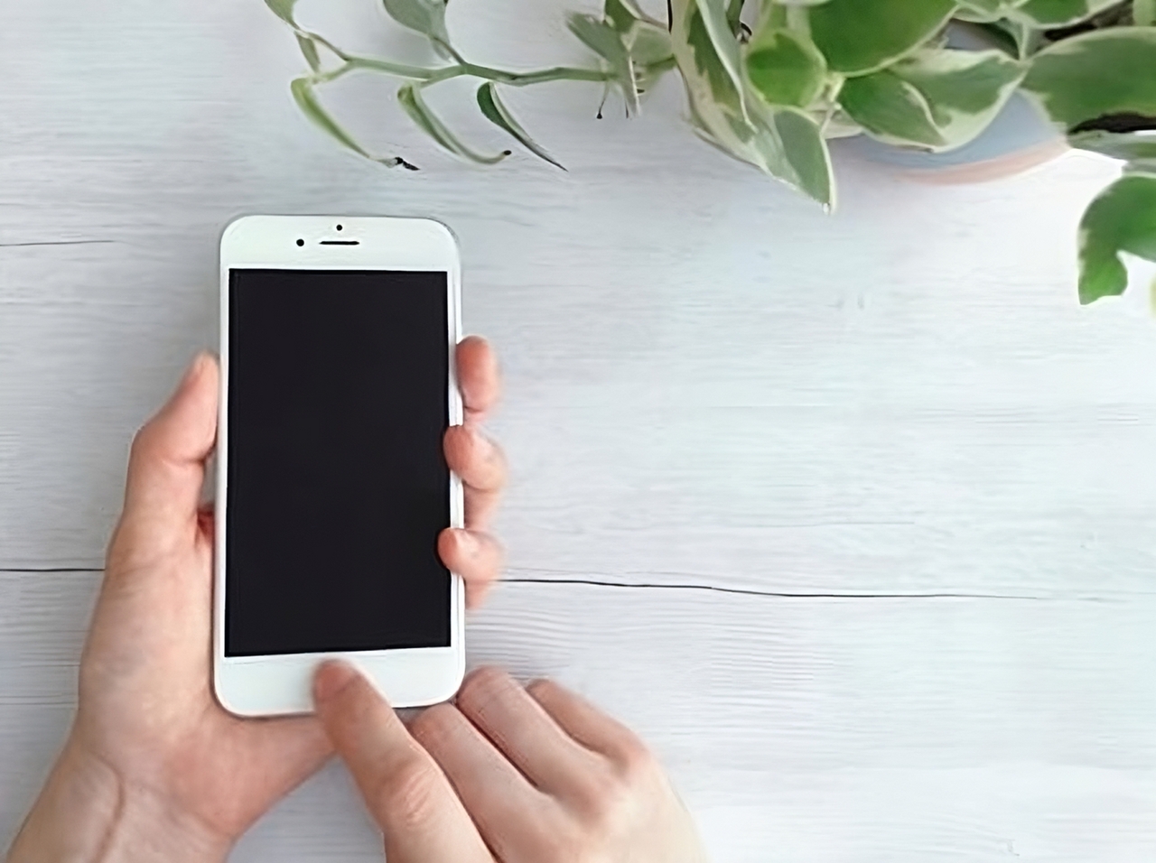 訪問介護EZサービス