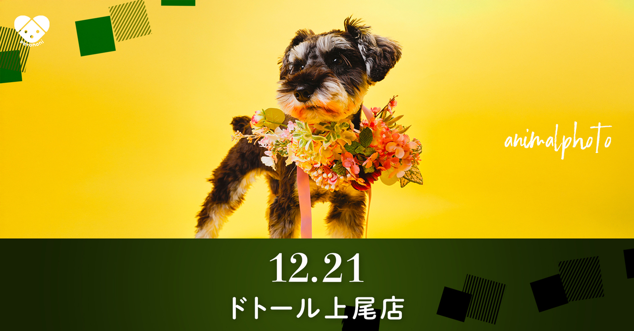埼玉県【ドトールコーヒーショップアリオ上尾店】 2025年12月21日（日） 