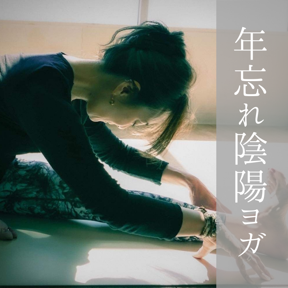 12月30日(火) 年忘れ陰陽ヨガ/マイ