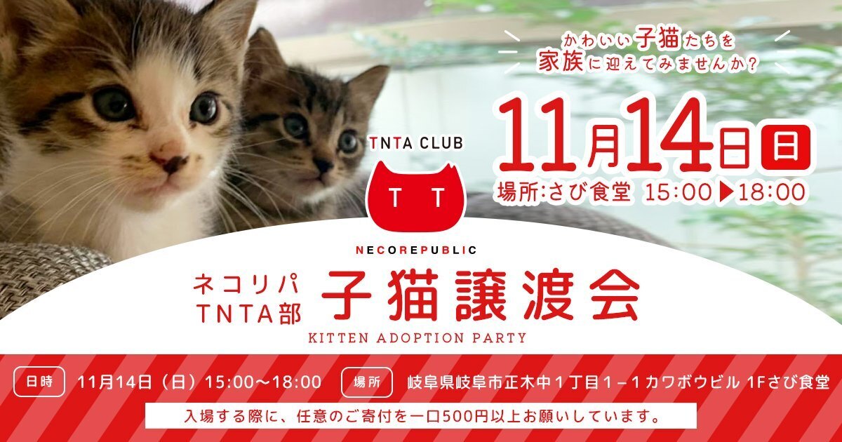11月14日（日）子猫譲渡会　ネコリパTNTA部主催