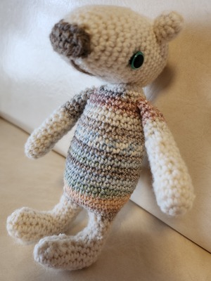  オンラインレッスン