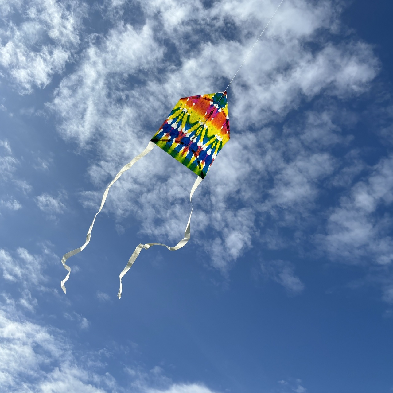 ＼3/1（日）梅まつり／凧づくり＆凧揚げ体験