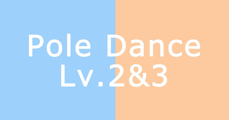 Pole Dance Lv. 2&3 ポールダンスレベル2&3 / Panchi