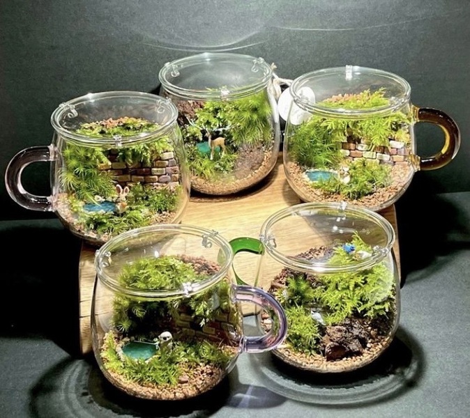 【予約制】ティーカップを使用した苔テラリウムの作成ワークショップ「TheOnlyOne_bottleterrarium」