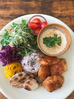 【オンラインレッスン】発酵料理　単発レッスン（春の発酵ビストロランチ）