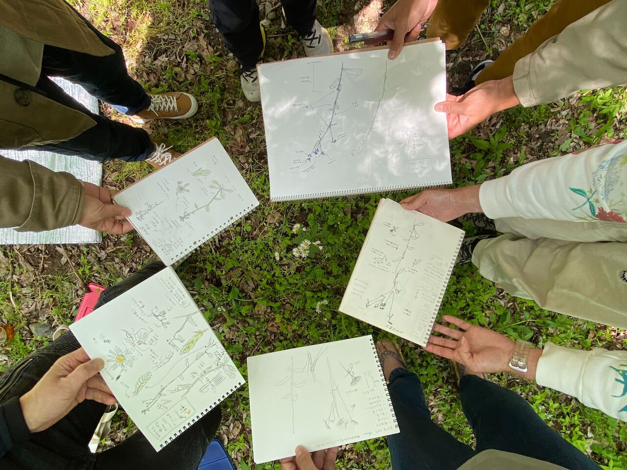 わたしとつながる自然スケッチ