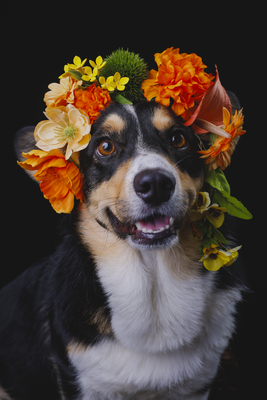 東京都【花綵】2025年12月7日（日）＠港区西麻布 GALLERY WATER