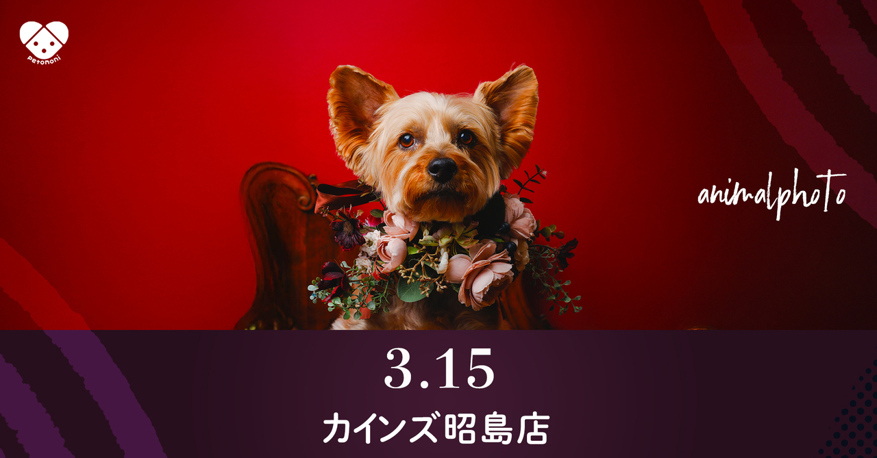 東京都【カインズ昭島店】2026年3月15日（日）