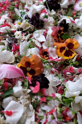 バンドルダイでコットン糸を染める - 草木染めワークショップ