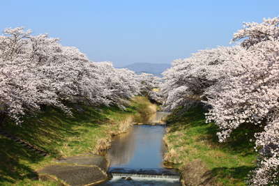 4月18日(土)出発日帰り撮影ツアー