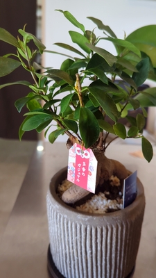 ご予約はこちらから😄