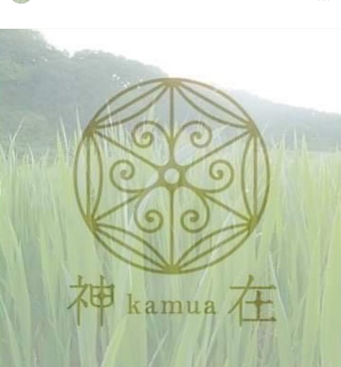 出雲のまこも蒸し 6600円 お一人様