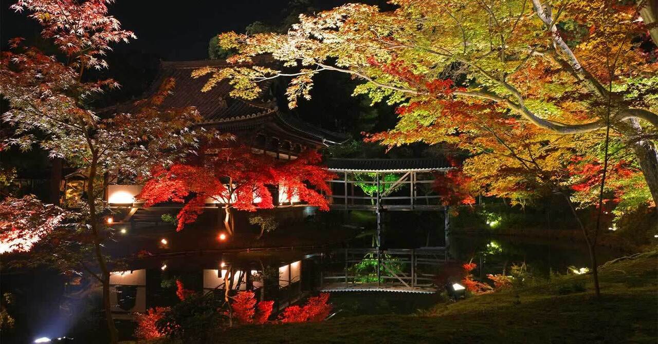 高台寺 夜間貸切拝観 ~歴史的人物の軌跡に触れる特別体験~