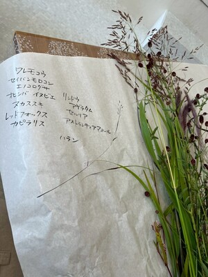 【12/25木10:30～】日果・草花会※新規開講　入会受付中