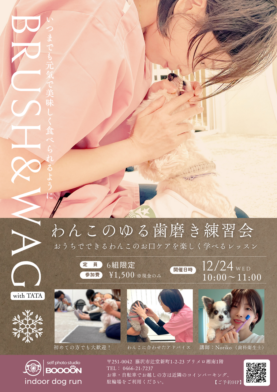 【EVENT】12/24 10:00 わんこのゆる歯磨き練習会vol.4