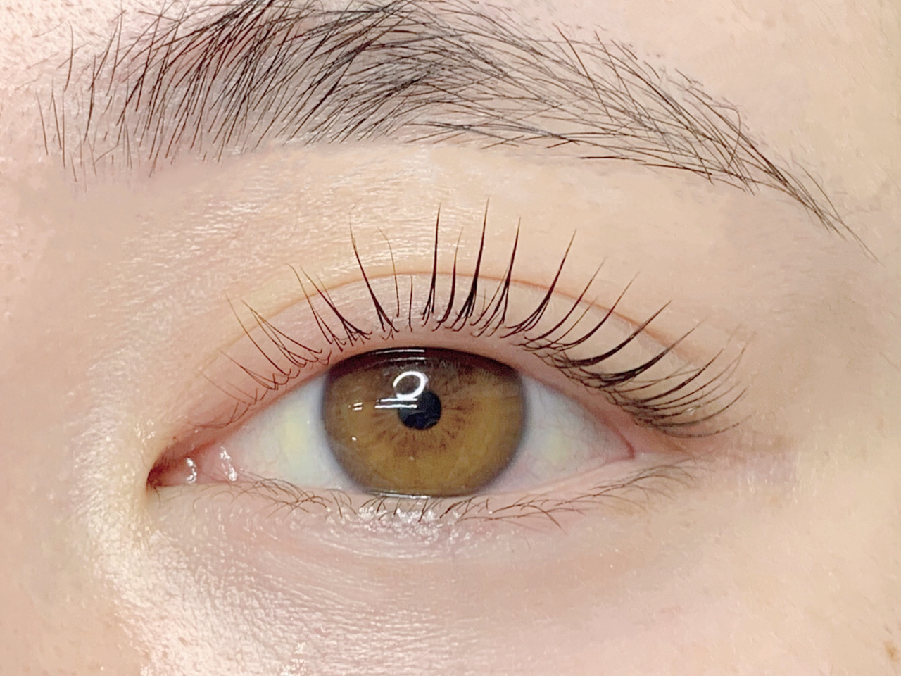 アイラッシュメニューはこちらから！！（まつ毛カール）