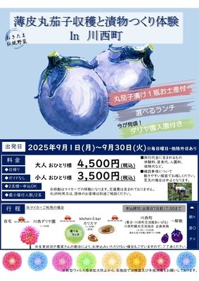 おきたま伝統野菜　薄皮丸茄子収穫と漬物つくり体験　in川西町