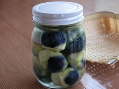 おきたま伝統野菜　薄皮丸茄子収穫と漬物つくり体験　in川西町