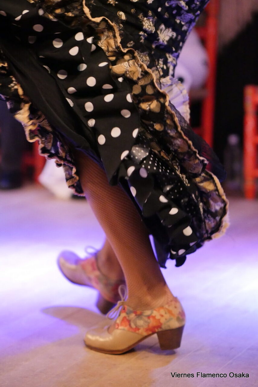 1月期サパテアード強化