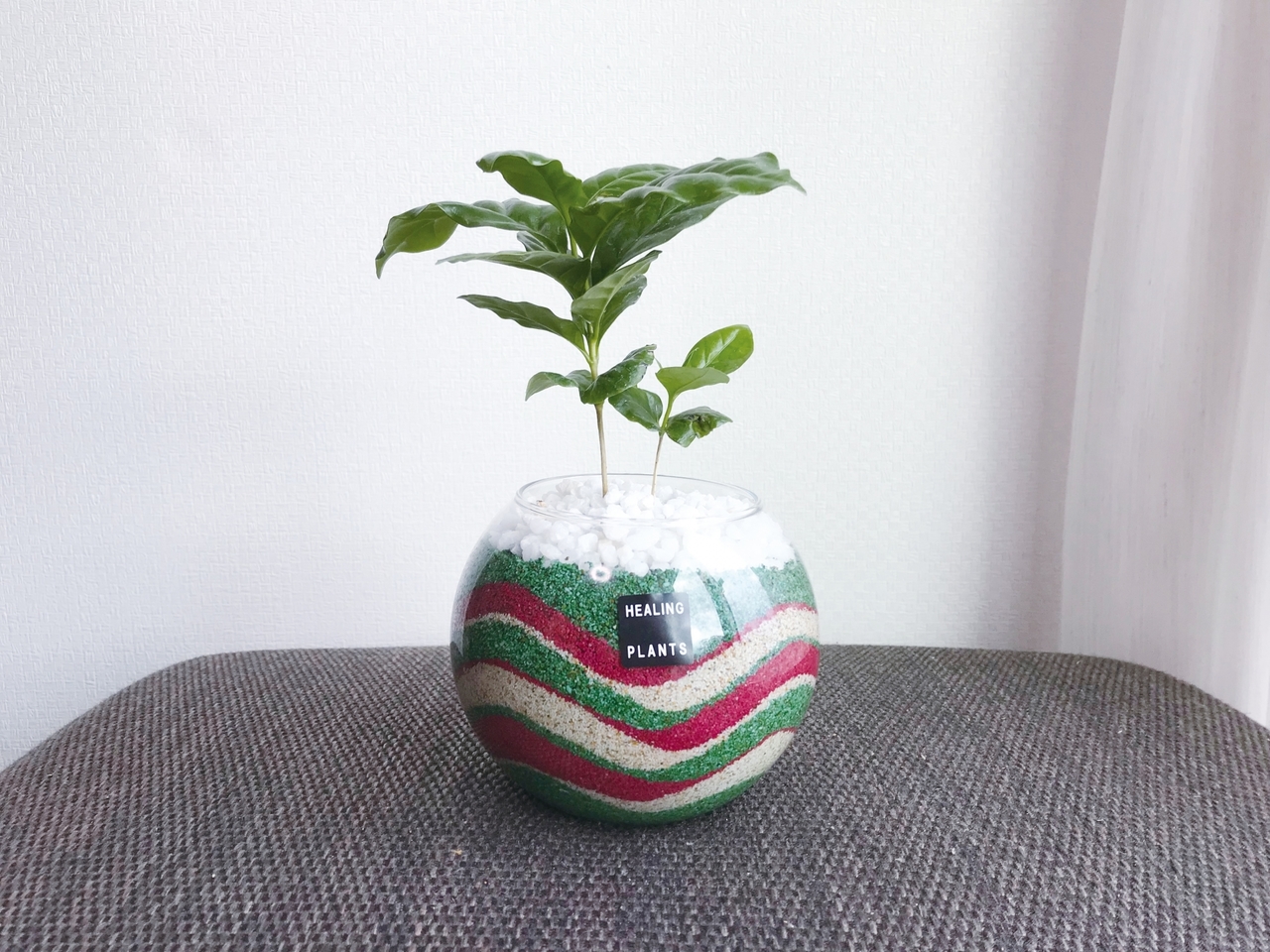 【北】お部屋を南国に飾ろう！グラスサンドアートづくり｜2020年8月1日(土)