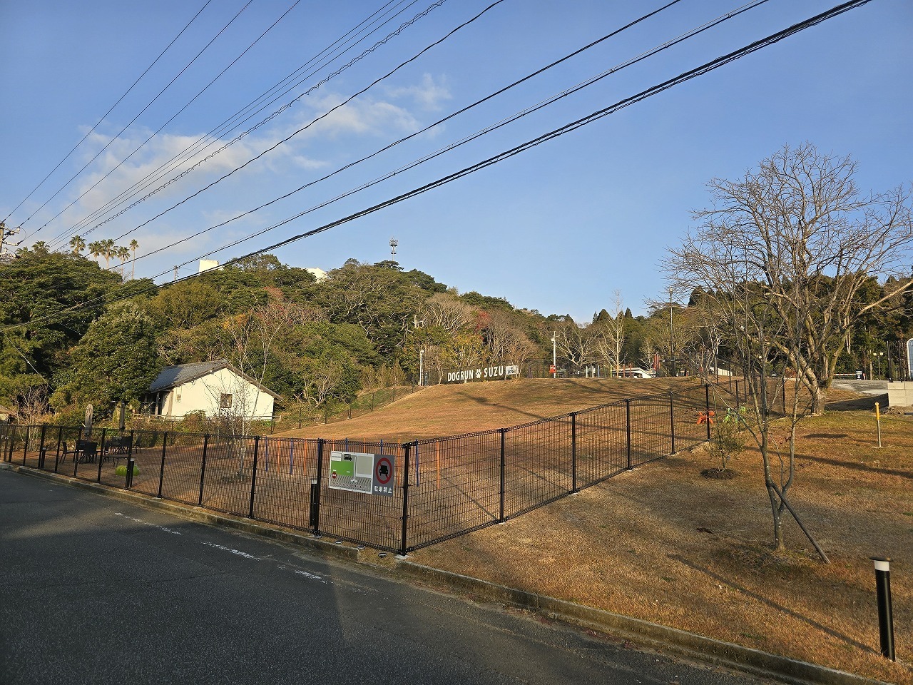 貸切ドッグラン大(斜面)756㎡（228坪）[平日・土日祝] 