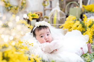 ミモザ&フラワー撮影☆柏市おうちスタジオ