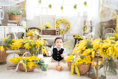 ミモザ&フラワー撮影☆柏市おうちスタジオ