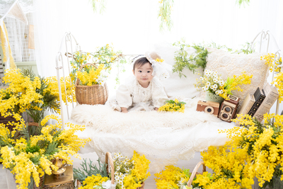 ミモザ&フラワー撮影☆柏市おうちスタジオ