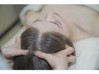 定額制（月額契約）